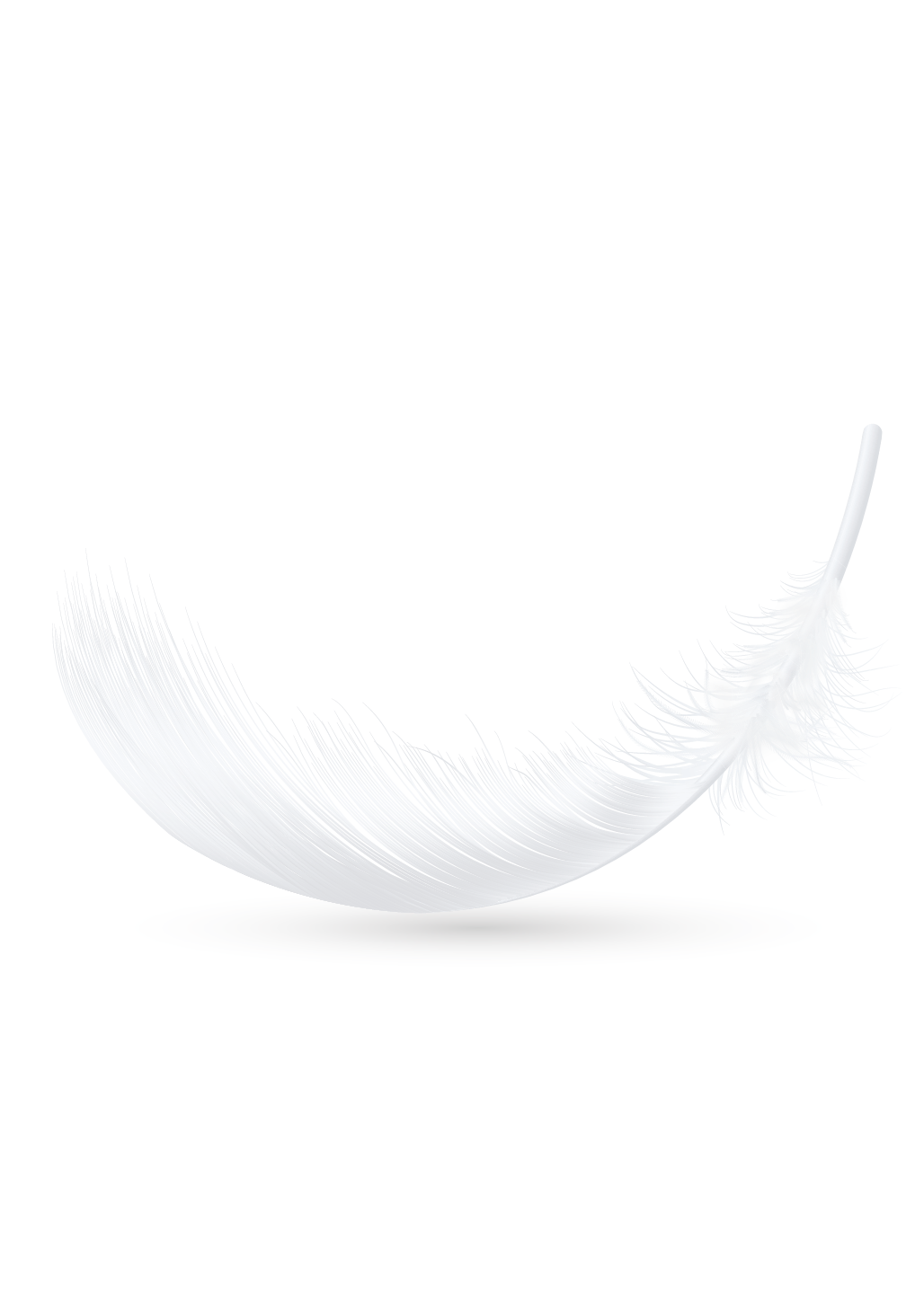 featherlite 01 01 01 01 01